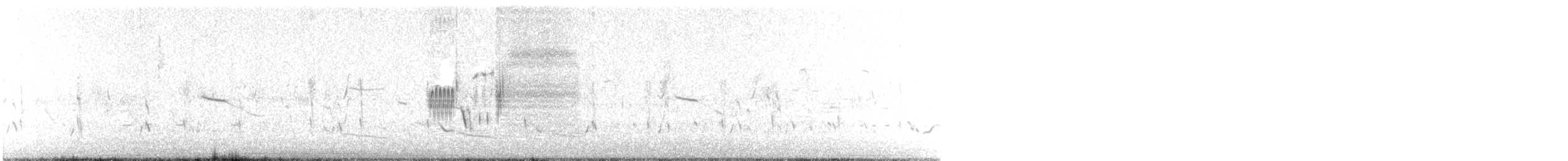 Приморская овсянка-барсучок (maritima/macgillivraii) - ML465132731