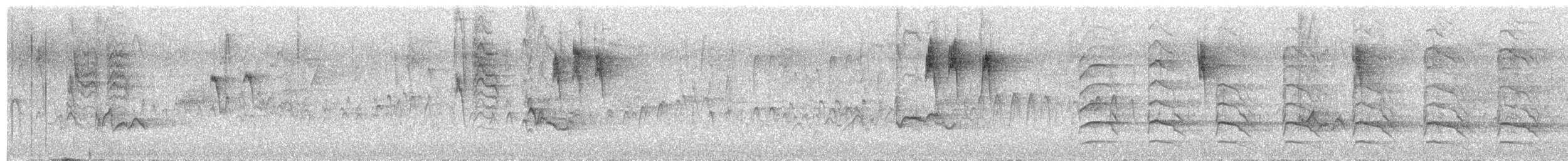 Красноплечий канюк (elegans) - ML465158611