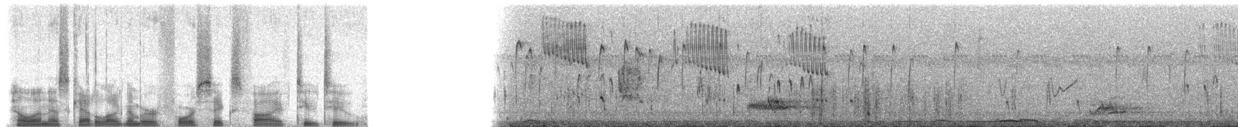 umbraskriketrost - ML46522