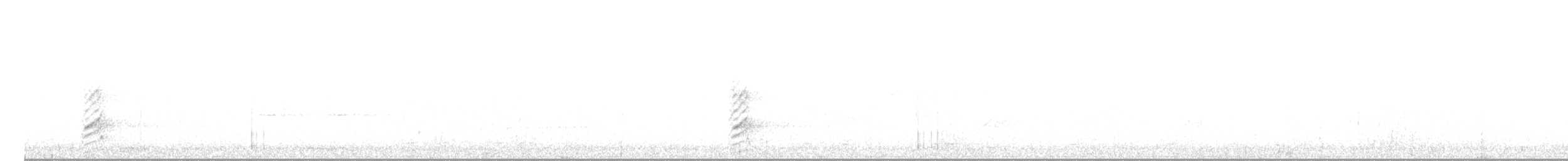 hvithodehavørn - ML465247021