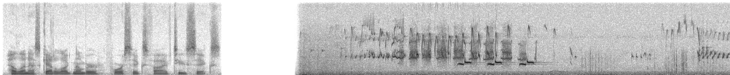 Cratérope rubigineux - ML46526