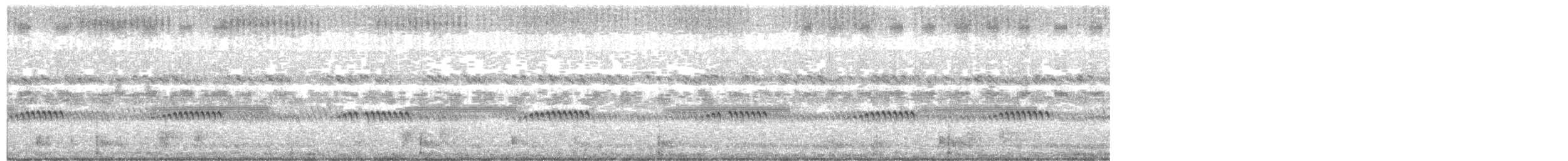 Австралийский совиный козодой - ML465260111