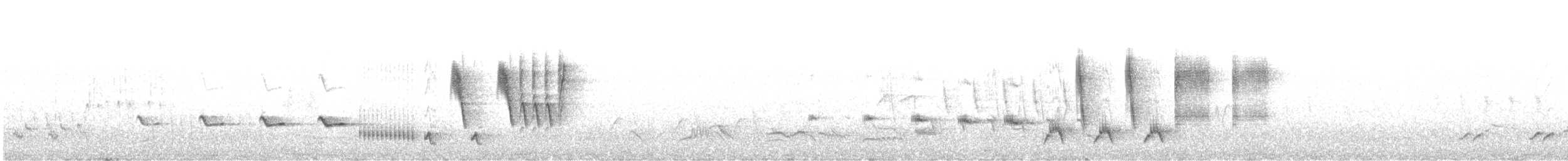 slavík obecný (ssp. golzii) - ML465281611