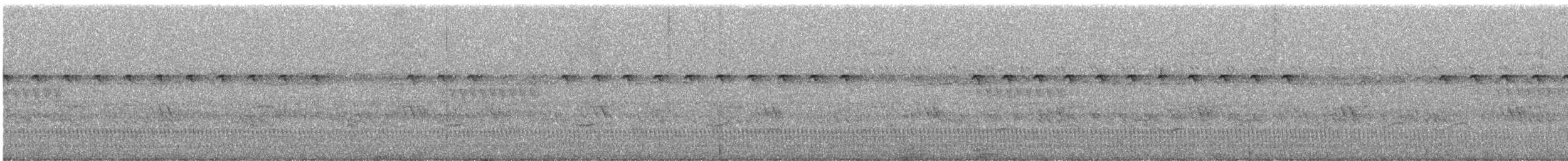 Long-tailed Nightjar - ML465292601