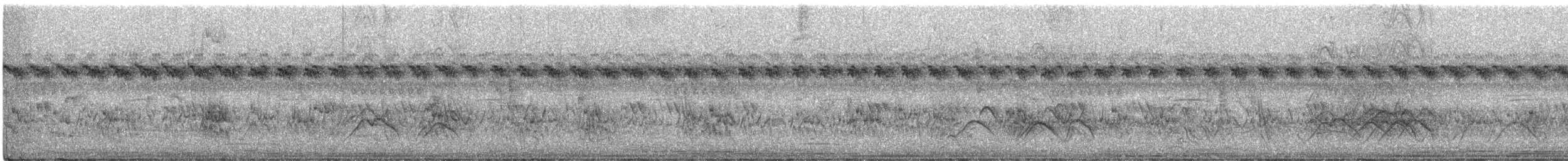 שרקרק לבן-גרון - ML465293711