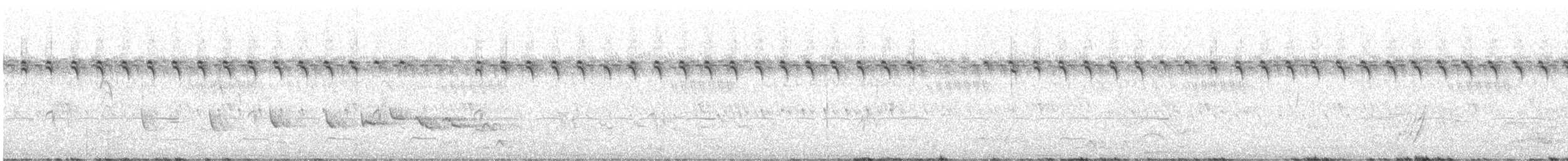 Mélocichle à moustaches - ML465298541