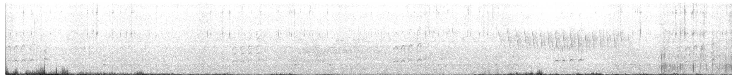 tanımsız yelve/sukılavuzu (Rallidae sp.) - ML465314931