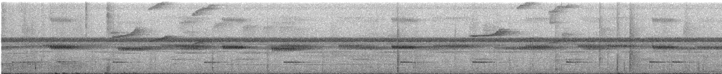 Восточный колибри-отшельник - ML465320781