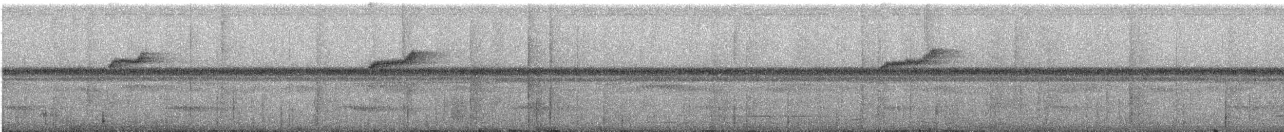 Восточный колибри-отшельник - ML465320791