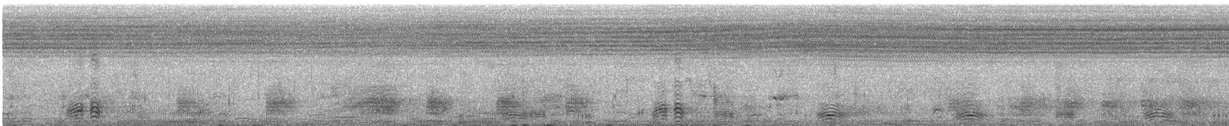 Purple Roller - ML465324751