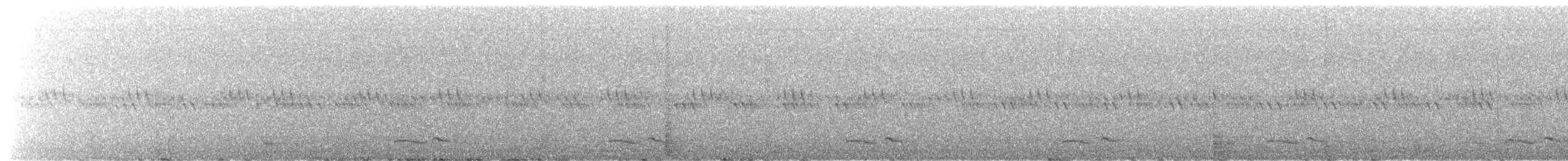 Chotacabras Pachacua - ML465327841