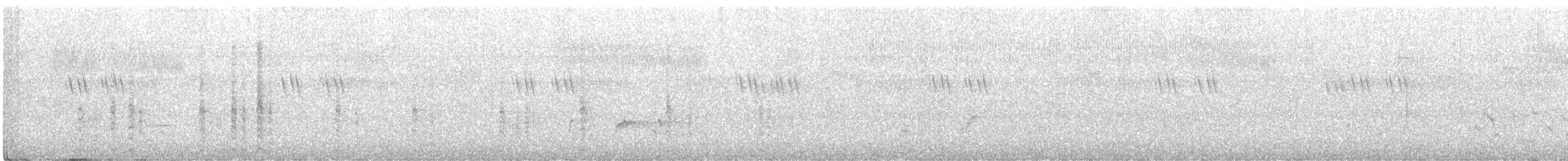medozvěstka křiklavá - ML465336621