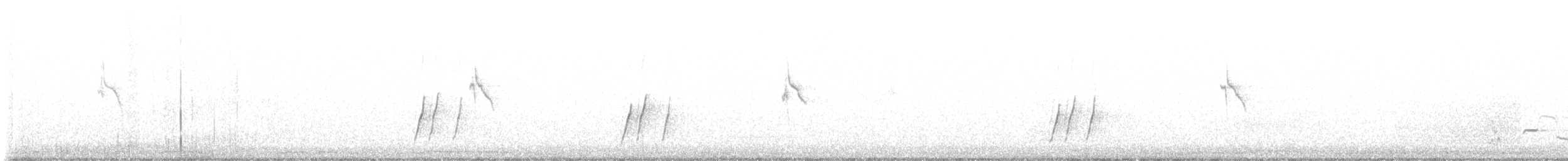 Kıvrık Gagalı Çöpçü [palmeri grubu] - ML465359951