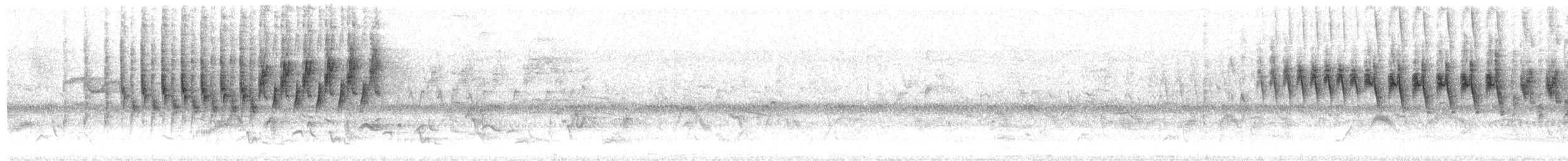 brunkroneparula (rufifrons gr.) - ML465366521