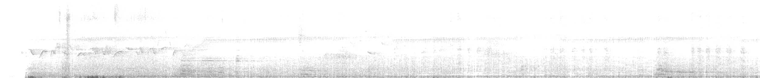 Weißschwanzkleiber - ML465373181