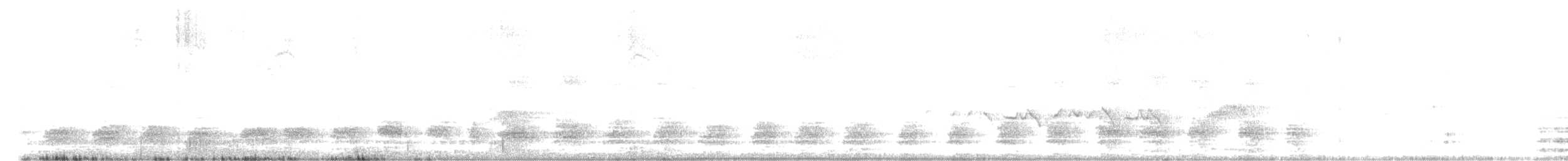 Вагабунда сіровола - ML465381361