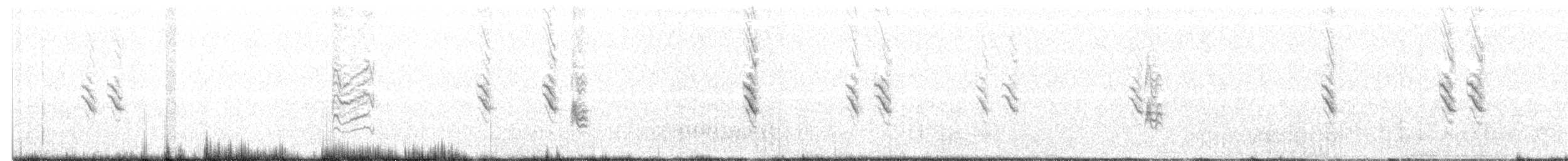Common Redpoll (rostrata/islandica) - ML465388291