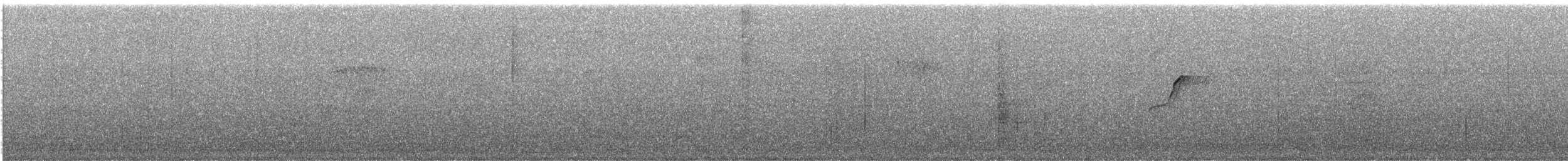 Batı Amerika Sinekkapanı (occidentalis/hellmayri) - ML465491991