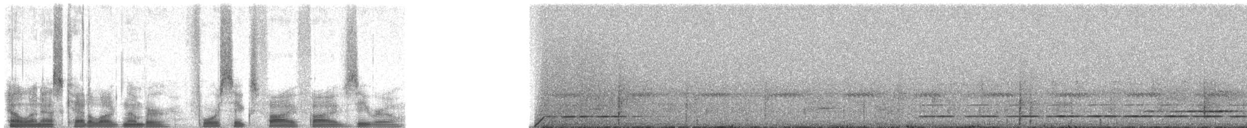 Малая жемчужная курочка (centralis) - ML46550