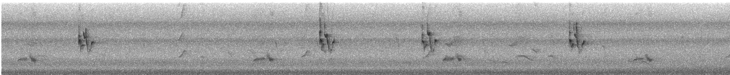 Pouillot verdâtre (obscuratus) - ML465539811