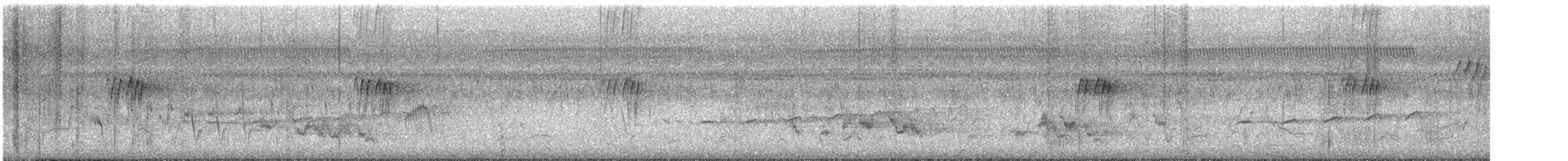 Minivet rose - ML465550121