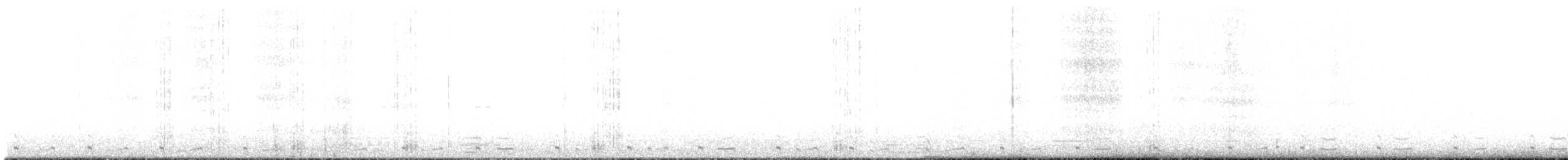 Серогрудый зобатый бегунок - ML465550271