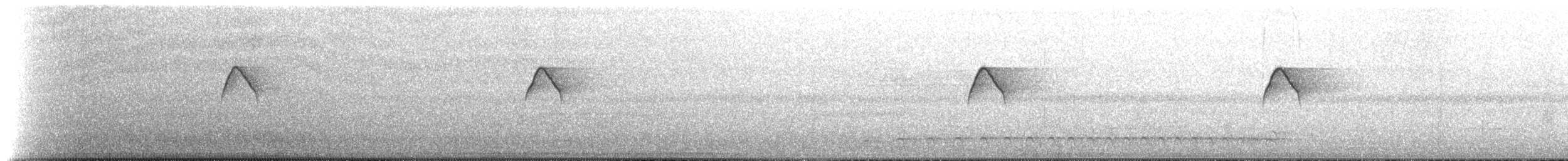 Тиран-крихітка білолобий - ML465560451