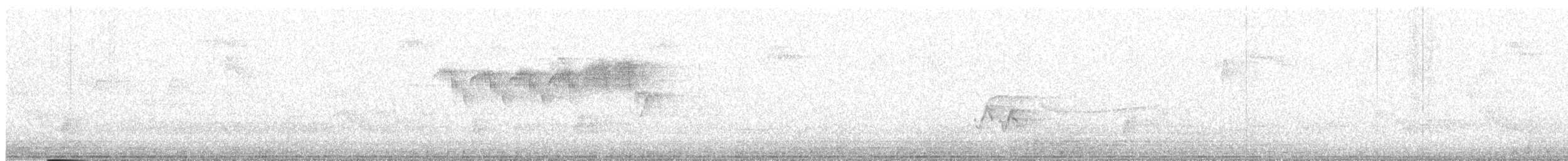 Northern Parula - ML465588991