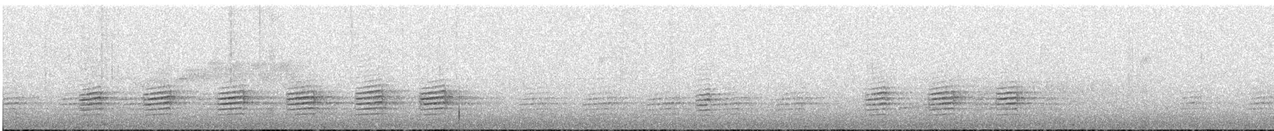 Red-breasted Nuthatch - ML465589311