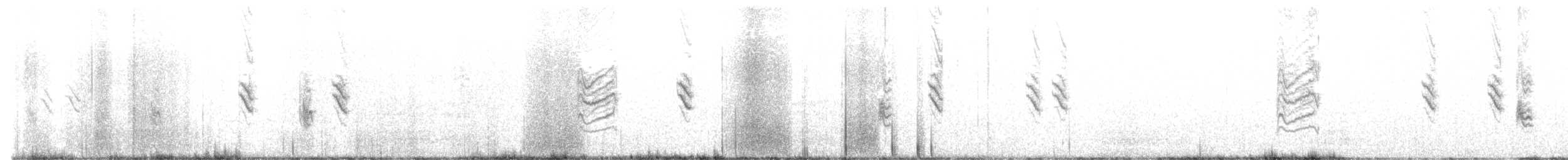Common Redpoll (rostrata/islandica) - ML465590331