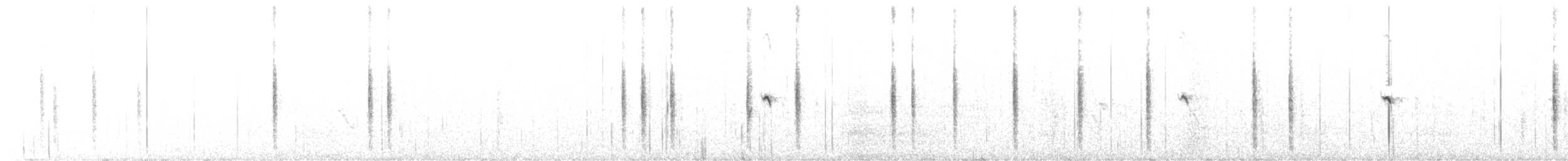 bělořit šedý (ssp. leucorhoa) - ML465590971