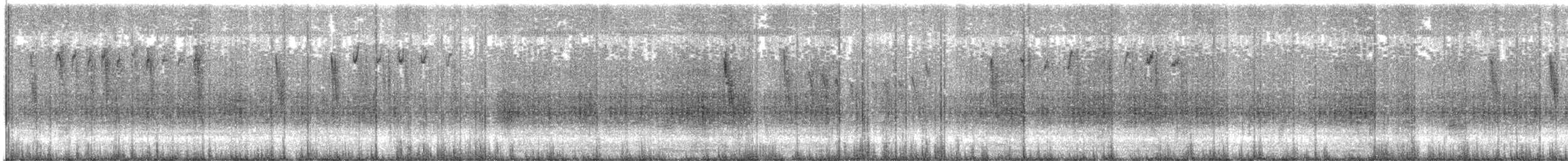 Seggenzaunkönig - ML465593351