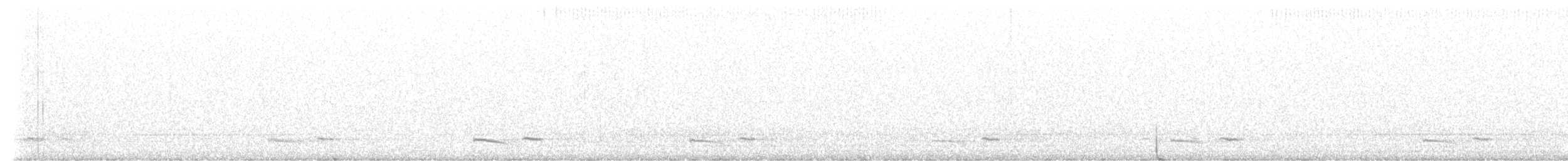 Common Poorwill - ML465609291