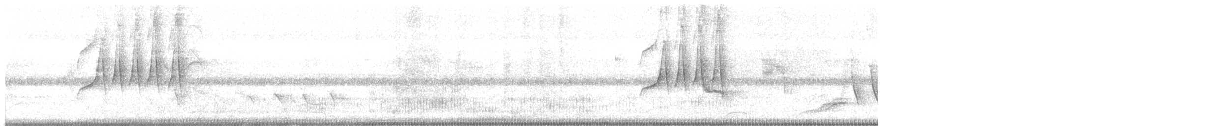 Grauschulter-Schnäppertyrann - ML465617621