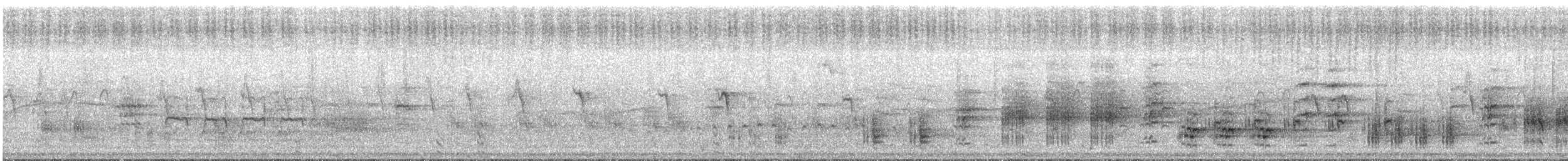 Great Reed Warbler - ML465654191