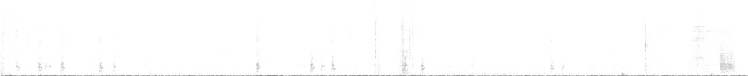 White-browed Babbler - ML465661391