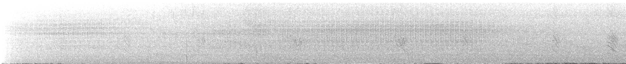 Hirondelle à front blanc (groupe pyrrhonota) - ML465676691