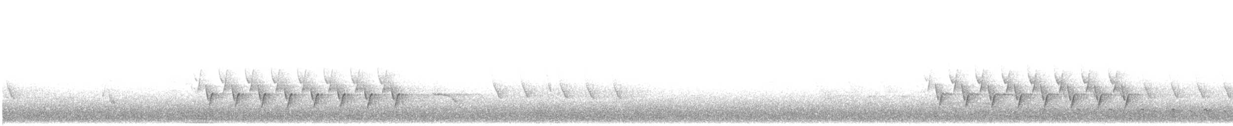 střízlík karolínský (ssp. albinucha/subfulvus) - ML465680511