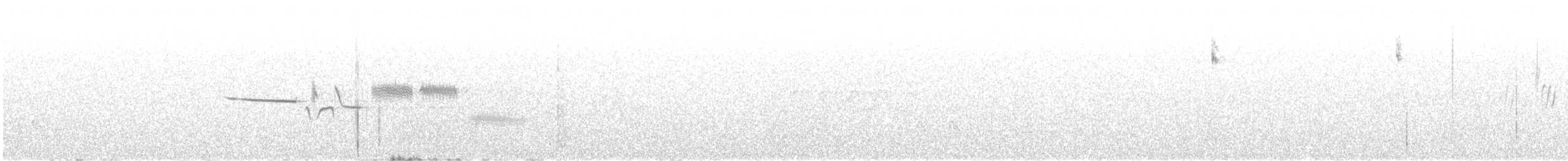 Bruant à couronne blanche (gambelii) - ML465696911