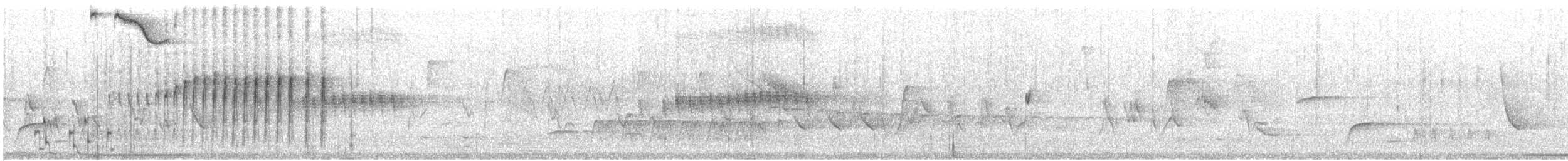 שחרורית חומת-ראש - ML465716791