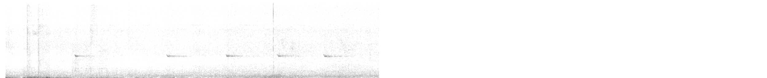 hvitstrupehonningeter - ML465728831