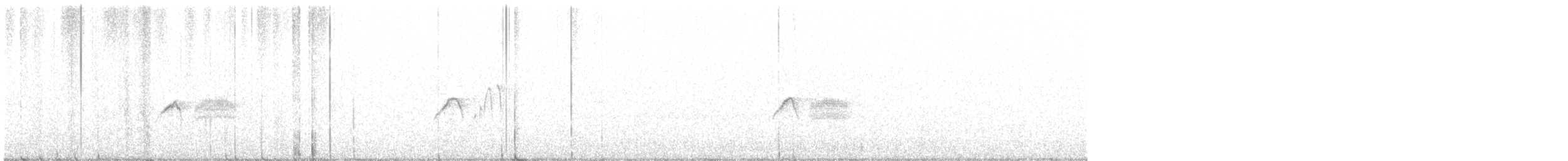 Eastern Phoebe - ML465734811