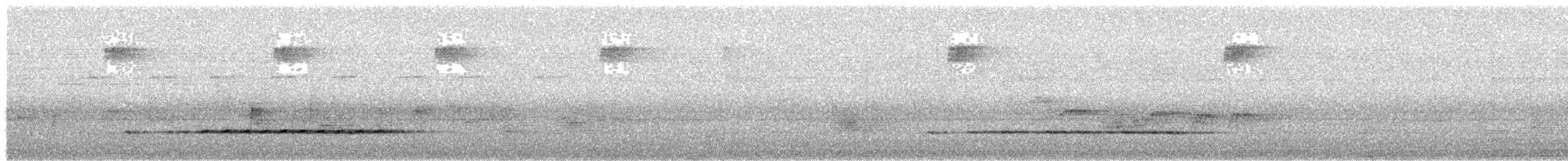 Timalie à front roux (groupe rufifrons) - ML465737421