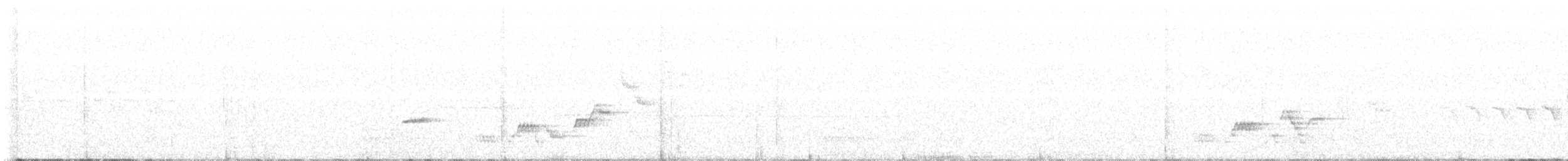 Swainson's Thrush - ML465752461