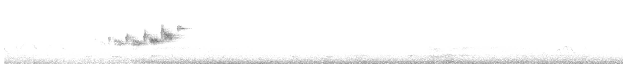 Black-throated Gray Warbler - ML465822521