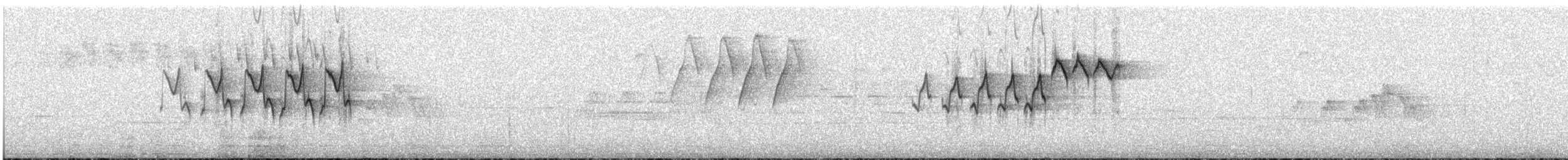 Blackburnian Warbler - ML465853491