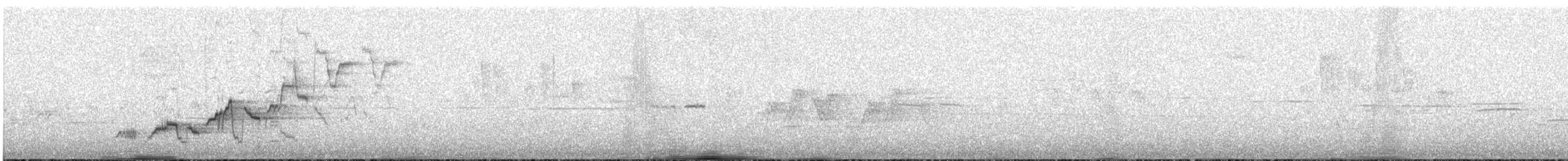 Swainson's Thrush - ML465859361