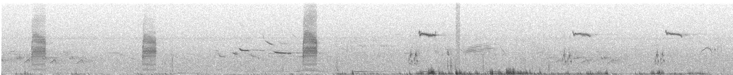 Loggerhead Shrike - ML465868841
