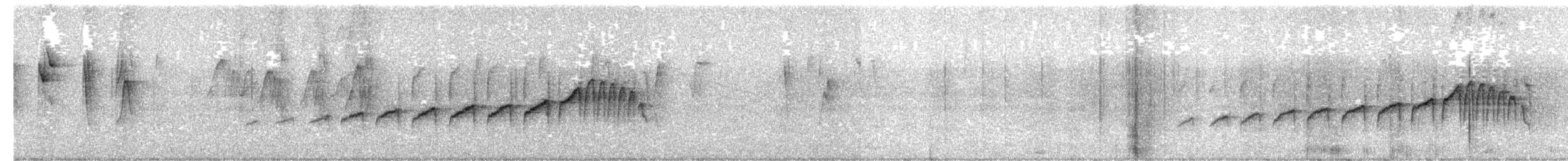 Perija Thistletail - ML465887491