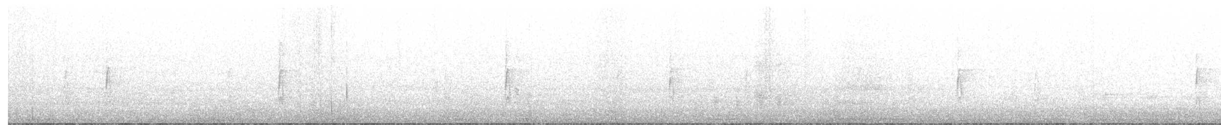 strakapoud bělokřídlý - ML465941031
